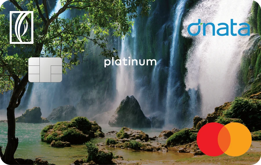 Emirates NBD dnata Platinum Credit Card card, as shown by Emirates NBD