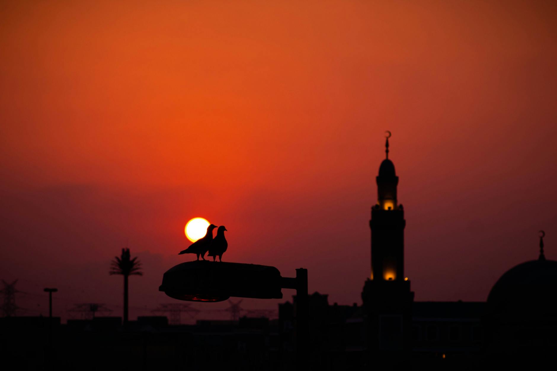 Dubai mosque silhouette against a dusk skyline